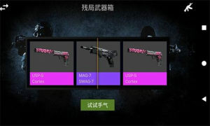 csgo开箱模拟器截图3