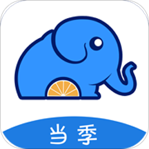 当季水果app